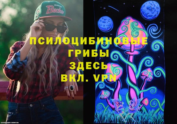 прущая мука Алзамай